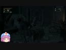 今更ブラッドボーン part26