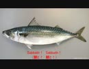 鯖と