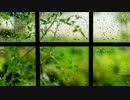 【立体音響】雨の音