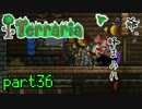 【Terraria】ハードコアでterraria最強完璧を目指す　～part36～