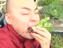 【休日のほほん】庭で草を食べて体力回復。