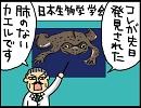 妙な親近感