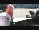【木崎湖周遊】憧憬の路と聖地巡礼に行った動画⑯【ぬこぬこ動画】