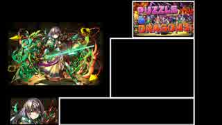 パズル&ドラゴンズ 超絶無限回廊RTA_16:33【不動明王】