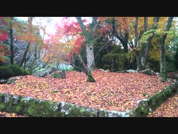 紅葉（岡城）