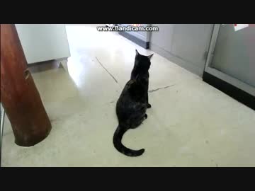 (=｀ω´=) ﾑ!  すねちゃった＾＾；