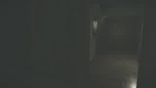 【Layers of Fear #06】ホラー洋館探検中