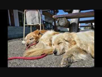 三十路オヤジのトコトコツーリング帳　～白馬 志賀草津ツーリング～