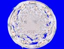 結構な量の回転する釣りキチおばさんBB