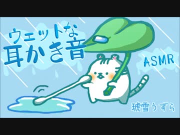 【音フェチ】極端にウェットな耳かき音【イヤホン推奨】