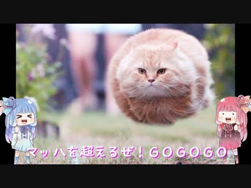 ヤバイ動画　琴葉姉妹がヤバイと言っています！