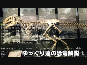 ゆっくり達の恐竜解説＋　第二回後編：ティラノサウルス類