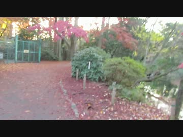 井の頭公園。　－冬ー