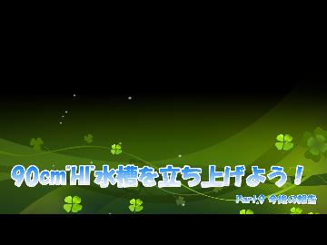 90cm"HI"水槽を立ち上げよう！ 告知動画
