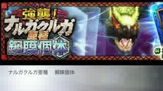 【MHXR】ナルガクルガ亜種鋼膜個体　マルチで討伐してみた