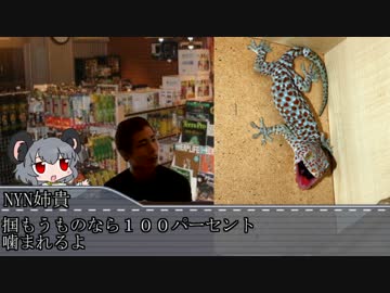 ハチュカス☆☆