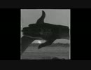 Raobar - The Void