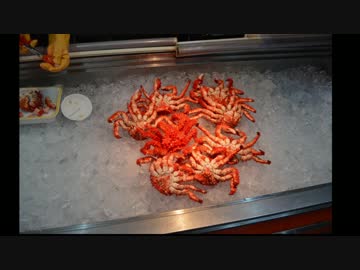 【バイク】ホーネット250で日本一周part13【北海道】