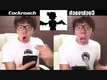 ゴキブリ VS ゴキブリ ボイパ対決 Bad Apple!!