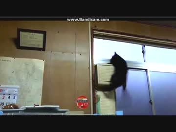 (´; ω ;｀)  あずき墜落!!