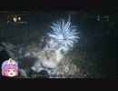 今更ブラッドボーン part37