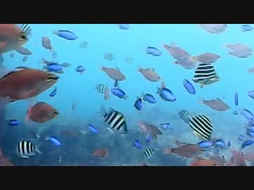 【アウトドア】ゆっくり釣りしないよ　part2