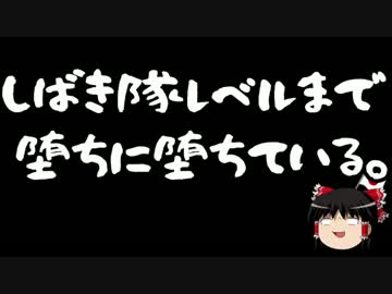 【ゆっくり保守】国会議員の親族としてこれはどうなのか。
