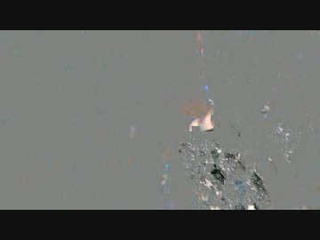 ダンシング・ヒーロー2014