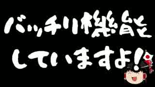 【ゆっくり保守】蓮舫効果はありまぁす！