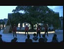 【京大学祭】Sweet Devil (colate remix)踊ってみた【SSD】