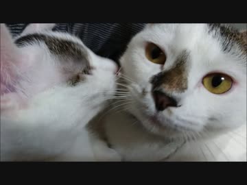 隣のエ○イお姉さんに「部屋でバイクふかすな」ってめっちゃ怒られた