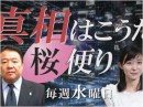  【桜便り】皇統「譲位」の危険 / 西田議員ビデオレター問題 / 沖縄現地報告－辺野古反対派逮捕！米軍キャンプ前にブロック1500個[桜H28/11/30]