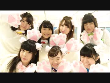 【平均年齢17.5歳】すーぱーぬこわーるど【踊ってみた】