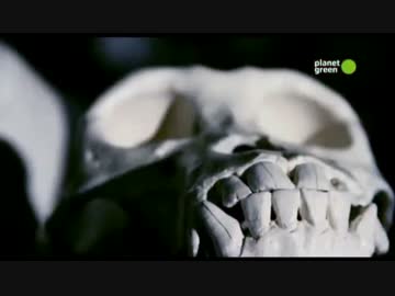 モーガソと宇宙 S3　「異なる種族」