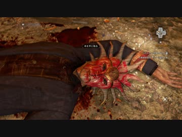 【Dying Light】霊夢さんの希望を探す旅【16日目】