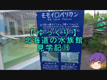 【ゆっくり】北海道の水族館見学記⑲