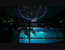 2016 アクアパーク品川  イルカショー「GOLD CHRISTMAS PARTY」