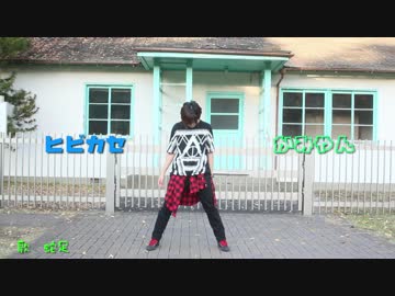 【踊ってみた】ヒビカセ【かみやん】