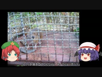 ゆっくり農民45害獣対策をしてみませんか？#2