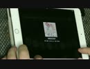 【エビスト】INNOCENT EXPERT