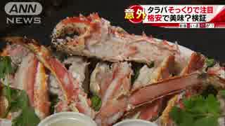人気の たらばガニ 動画 78本 2 ニコニコ動画