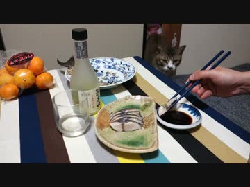 アウトドアをやろう！「島の釣り人の長い一日」 in 八丈島【料理編】