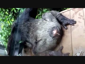 全一　イメージ化した結果④