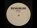 Jazz Vol.1 / Seb Wildblood