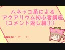 ハネッコ系によるアクアリウム初心者講座(コメント返し編①)