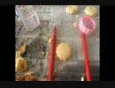 フェイクスイーツ・アイスサンド・ビスケットを作る2