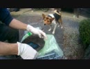 カモ毟り候ときどき犬　新米猟師ハンターライフ3rdシーズン07