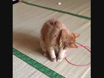 ぐるぐる