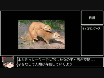 TSFシミュレーター Ver0.1