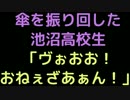 傘を振り回した池沼高校生「ヴぉおお！おねぇざぁあん！！」【2ch】